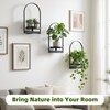 3 Pack Wall Plant Holder for Indoor Plants, Metal Wall