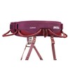 PETZL CORAX Comfortable and Fully Adjustable Harness for Gym and