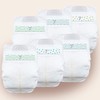 Cuties | Skin Smart, Absorbent & Hypoallergenic Diapers with Flexible