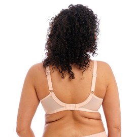 Elomi Morgan Wired Banded Bra (36GG, Cameo Rose) (EL4110)