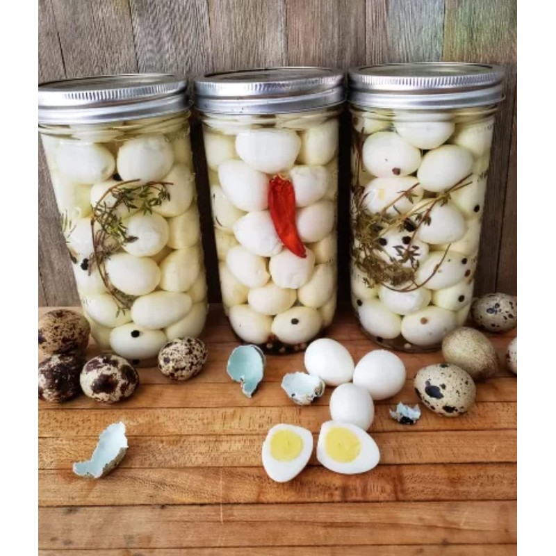 FARM FRESH Quail Eggs *Laid in the U.S.* Hormone Free;