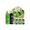 6 Shampoos Bergamota 6 Shampoo Cola De Caballo +12 Muestras