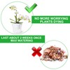 MNKNENG 12 Pack Self Watering Pots for Indoor Plants 4.3