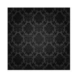 Haoyiyi 5x5ft Black Damask Floral Pattern Backdrop Vintage Classic Flower Pattern Interior Room Retro Dark Wall Photography Background Girl Kid Adult Artistic Portrait Photo Studio Wallpaper Props