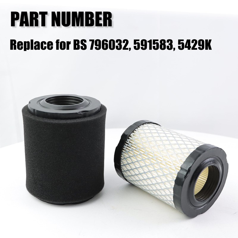 WOTIAN 2pcs 796032 591583 Air Cleaner Filter Compatible with BS