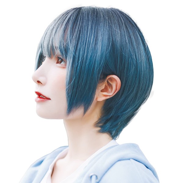 TefuRe D-3110-BkBgy Short Bob Wig, Heat Resistant, Full Wig, Black
