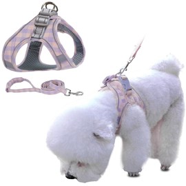 Kuveela Pet Harness and Leash Set, for Dogs and Cats, with Reflective Strips, Adjustable, Walking, Going Out, Easy to Put On and Take Off, Small Dogs, Medium Dogs, Large Dogs, Suede, Blue and Orange, XXS