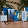 L'Erbolario Foglie di Té Bath / Shower Gel