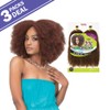 MULTI PACK DEALS! Janet Collection Synthetic Hair Braids Noir 2X