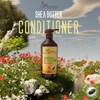 Savannah Hair Theraphy - Shea Butter Conditioner - 16.9 oz