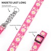 haoyueer Martingale Dog Collar with Stainless Steel Chain - Cute
