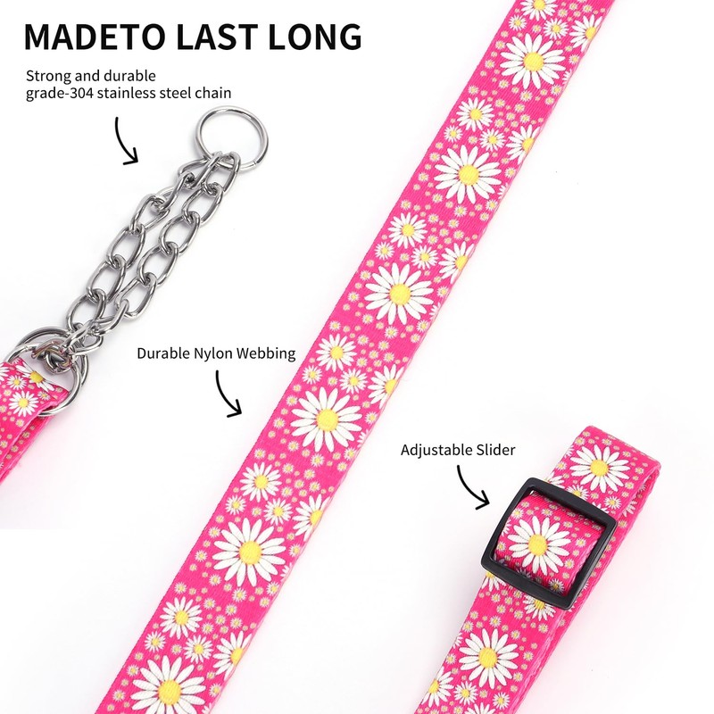haoyueer Martingale Dog Collar with Stainless Steel Chain - Cute