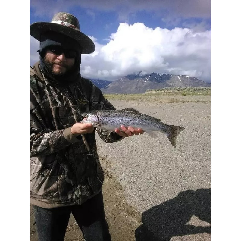 Unbranded Midges Tan Silver Whiskers #20,18, (Per Dozn(These Are The