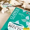 Clipper Tea Organic After Dinner Mints Double Mint and Fennel