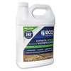 Eco Advance Exterior Wood Siloxane Odorless Spray-On Application Waterproofer, Waterproof