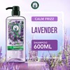 Herbal Essences Shampoo Calm Frizz Lavender Haircare 600ml