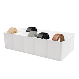 Plastic Belt Organizer, 10 Section Drawer Organizer for Storage Belt, Ties, Underwear and Socks, White Removable Dividers Storage Box for Closet Dresser Drawer, 12 x 6.2 x 3.1 Inch