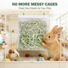 ducyak Mesh Guinea Pig Hay Feeder Bag for Guinea Pigs