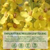 Mullein Leaf Tea, Mullein Leaf Tea Bags for Respiratory, Natural