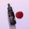 Plant Therapy Organic Herbal Tincture - Elderberry, 30ml