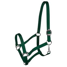 York Nylon Headcollar Headpiece Adjustable with Sliding Buckle Harmony Horse Halter (Pony, Dark Green)