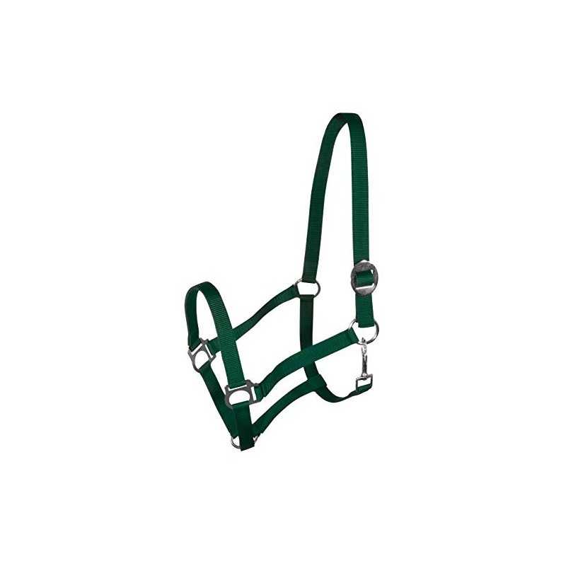 York Nylon Headcollar Headpiece Adjustable with Sliding Buckle Harmony Horse