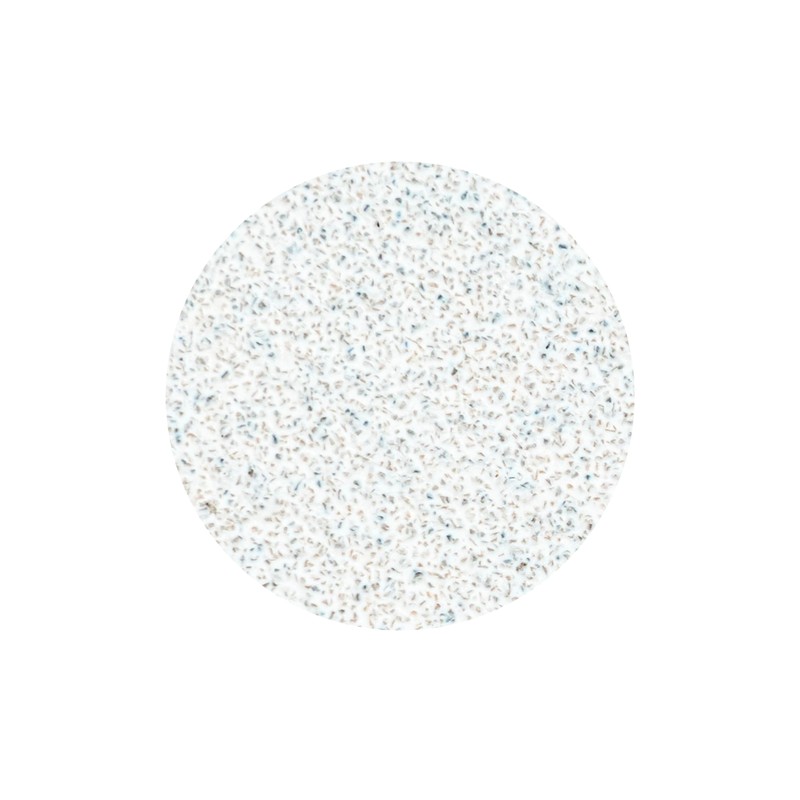 STALEKS PRO Pododisco Pododisco L Expert 25 mm Sanding Discs