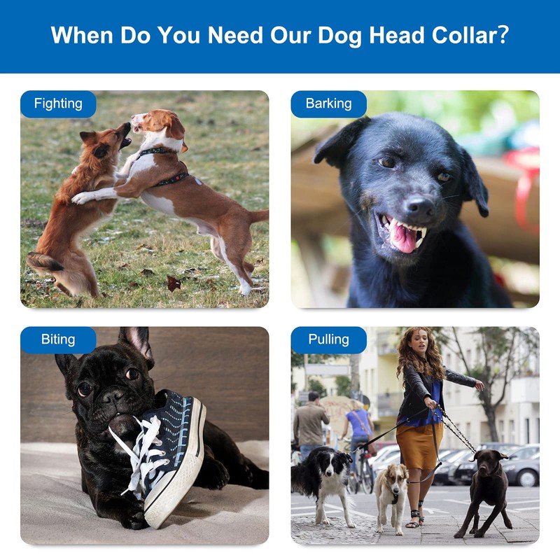 Head Halter for Dogs, Adjustable Dog Headcollar with 120 cm