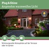Paulmann Outdoor Light