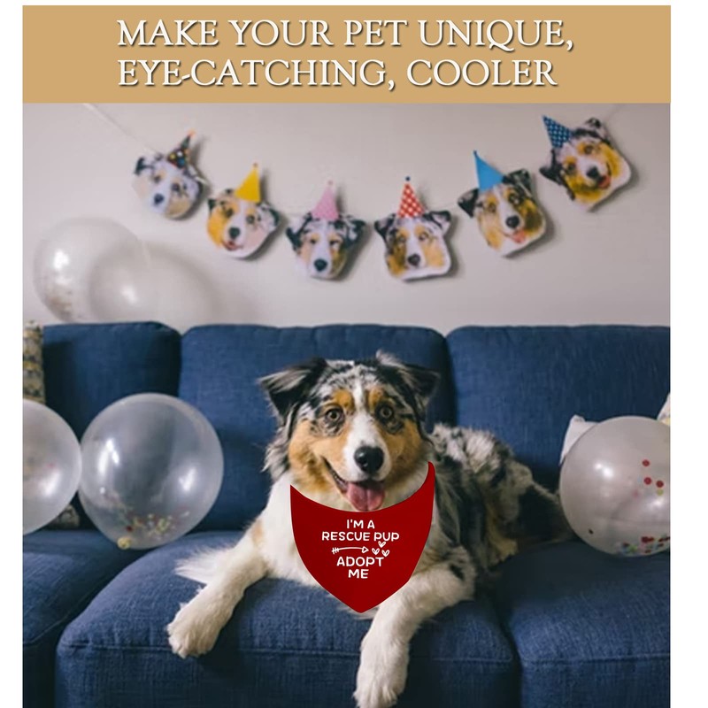 JXGZSO 1 Piece I'm A Foster/Shelter/Rescue Pup Adopt Me Dog