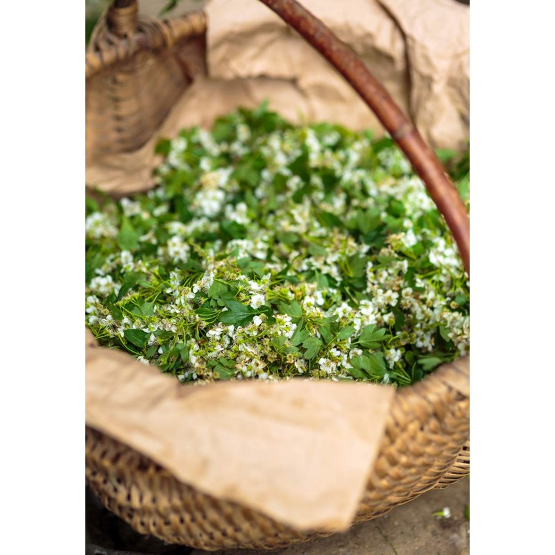 Health Embassy Hawthorn Flower (Crataegus L), 100 g