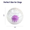 Petstages Nubbiez Treat & Squeak Ball Dog Toy