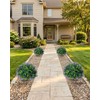 27.5 inch 2 Pack Artificial Lavender Boxwood Topiary Trees