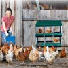 6 Hole Chicken Nesting Box, Roll-Away Egg Collection System with