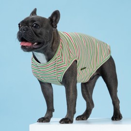 Fitwarm 2 Pack Striped Dog Shirt, Summer Clothes for Small Dogs, Breathable Lightweight Dog Tee Shirts, Pet Outfit, Orange, Light Yellow, Red, Green, XXL