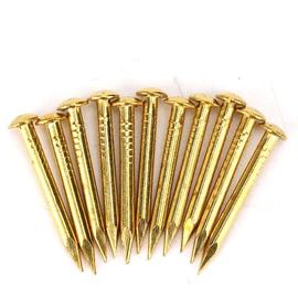 100 pieces brass nails, brass rosette nails, rosette pins, round head, brass brad nail for wood, for hanging picture frame mirrors, furniture hinge, hardware accessories (22 mm long, bold)