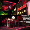 West Ivory 762LEDs, 100ft Red Outside LED Rope Light, 8