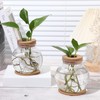 Baderke 2 Packs Propagation Vases for Plants Plastic Plant Propagation