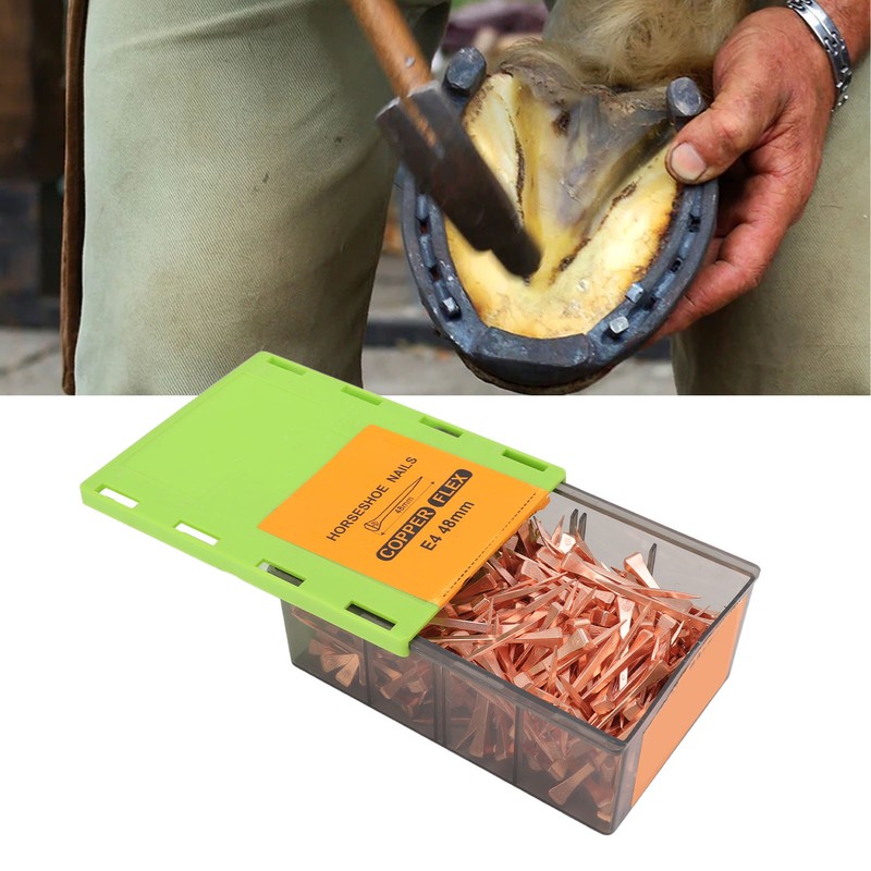 250Pcs Horseshoe Nails Copper Plating Shoeing Nails with Plastic Box