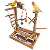 Bird Perch Play Stand Playground, Conure Parakeets Parrots Cockatiel Toys,