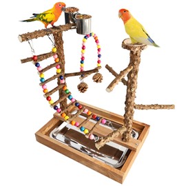Bird Perch Play Stand Playground, Conure Parakeets Parrots Cockatiel Toys, for Bird Cage Accessories, Natural Wood