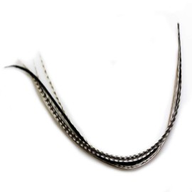 Zebrz Feather Hair Extension 4"-7" in Length with 5 Salon Quality Feathers for Hair Extension with Black & White American Rooster Feathers