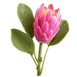 flowersbyjames Protea Stems. Hawaiian Flowers. Tropical Flowers PINK