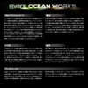 VARIVAS AH14 Avani Ocean Works Power Ring 300LB