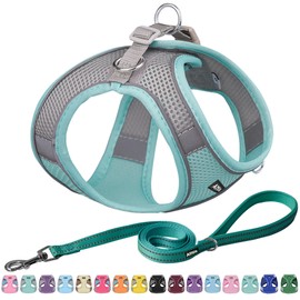 AIITLE Step in Dog Harness and Leash Set - Spring No Pull Escape Proof Vest Harnesses with Soft Mesh and Reflective Bands, Adjustable Pet Outdoor Harnesses for Small and Medium Dogs Turquoise M