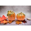 CG 10364 Orange Pumpkin Shape Design Salt & Pepper Shaker