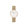 Daniel Wellington Ladies Petite Evergold Watch DW00100350