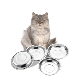 VENTION Medium Shallow Cat Food Bowls, Outer Dia. 7.3 in Whisker Fatigue Cat Bowl, Stainless Steel Cat Food Dish for Indoor Cats, Set of 4 Replacement Cat Bowls for Raised Station(20.3 Fl.oz)