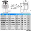 TAILONZ PNEUMATIC Male Straight 1/4 Inch Tube OD x 1/4