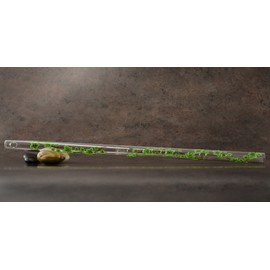 Hall Crystal Flute 12104 - Inline Glass Flute in Eb - Green Ivy